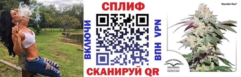 ЭКСТАЗИ Кольчугино