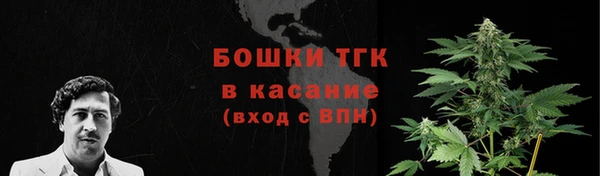 соль ск Краснослободск