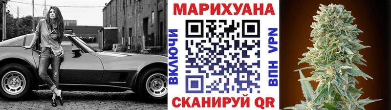Купить закладки  Кольчугино  Шишки марихуана SATIVA & INDICA 
